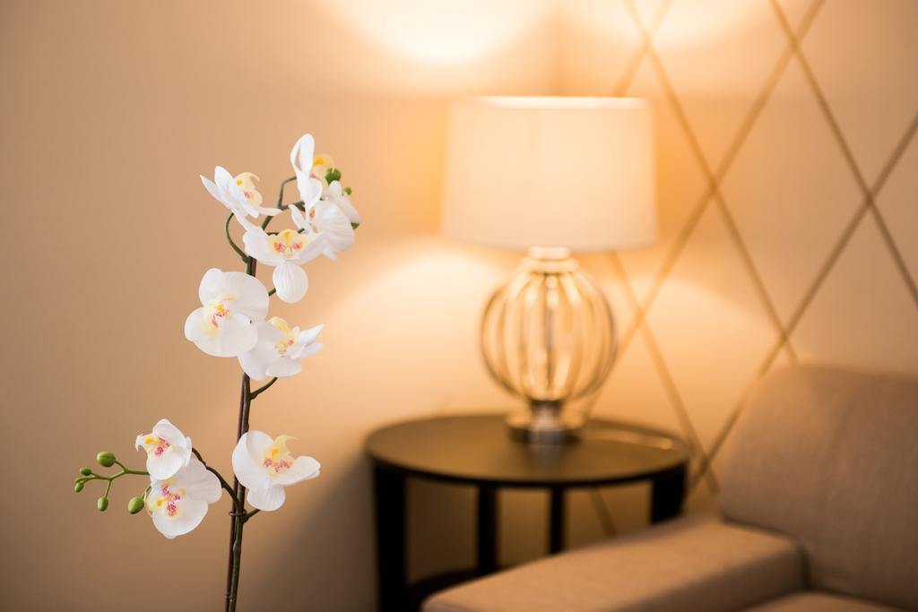 Executive Apartment Budapest Eksteriør bilde